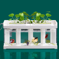Mini Aquarium Small Fish Tank With LED Light Dual Filtration System 2-4 Grid Design Peacock Fish Tank Fighting Fish Tank