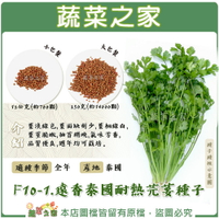 【蔬菜之家】F10-1.遠香泰國耐熱芫荽種子(共2種規格可選)