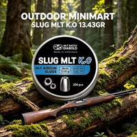 SLUG MLT KO 13.43GR