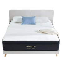 Molblly Mattress, 12 Inch Hybrid Queen Size Foam Mattress in a Box, Individually Wrapped Pocket Coils Innerspring, Pressure-