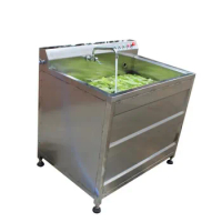 Apple Automatic Washer Multifunctional Fruit Vegetable Washing Machine Bubble and High Pressure Washing Machine