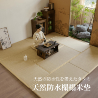 【保固兩年】日式天然防水榻榻米墊床墊定制電加熱地板專用墊椰棕飄窗炕墊定做