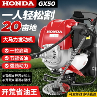 五羊本田大功率進口GX50四沖程背負式割草機小型家用汽油打除草機