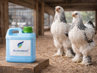 Probiotik Ayam Brahma BlueGreen Biotech