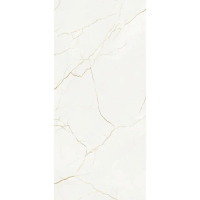 【台中大板磚】索菲特金-霧面 西班牙大板磚 120x260cm(薄板/磁磚/地磚/壁磚/檯面/電視牆/中島/施工/每片)