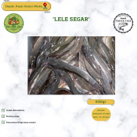 Ikan Lele Segar 500gr - 1 KG Sudah Dibersihkan