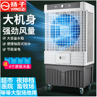 220v空調扇冷風扇冷風機家用單冷型水冷工業制冷風扇冷氣機移動商家用