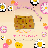 กล่องไปรษณีย์แพ็ค 20 ใบ (ขนาด 2B, C, D, B+7, E) กระดาษหนา 3 ชั้น