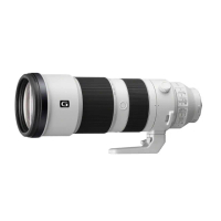 【SONY 索尼】SEL200600G FE 200-600mm F5.6-6.3 G OSS 超望遠變焦鏡頭(平行輸入)
