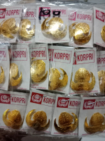 Lencana Korpri