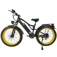Off-road Full suspension Pedal assist Mountain Bicycle Ebike 500W 750W 1000W Long Range Electric Motorcycle Bike