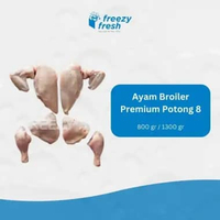 Ayam Broiler 1.2 - 1.3 (parting 8)