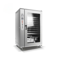 Commercial Automatic Gas Steam Dried Sausage Steam Heat Bacon Fish Catfish Smoked Meat Oven