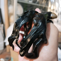 Gelang Akar Bahar Papua Asli Jenis Kayu Bertuah - Bracelets