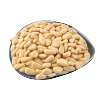 【喜RORO】輕烘焙現烤養生野生松子200g/袋(純素/生機野生松子/堅果)