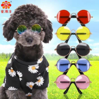 Teddy Bear Garfield Sunglasses for Pets, Cool, Handsome Accessories, Small, Medium-sized Dogs, General