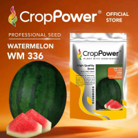 great discount (200 GRAM) Biji Benih Tembikai Boci Ultimate  WM336 CROP POWER F1 Hybrid Seedless Wat