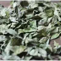 Daun Kari / Daun Kari kering / Salam Koja / curry leaves / karobelek / Daun kari/ Temurui 5 gram,Ece