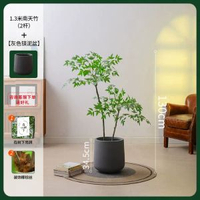模擬植物南天竹落地盆栽仿生綠植室內客廳裝飾花擺件大型盆景假樹