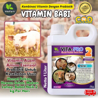 Obat penggemuk Babi, Vitamin penggemuk Babi paling cepat, Jamu penggemuk Babi INTERFARM 1 Liter