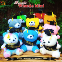 Boneka Wisuda Mini Karakter 15CM Kualitas SNI Teddy Bear Stitch Pooh Panda Cocok Buat Kado & Wisuda