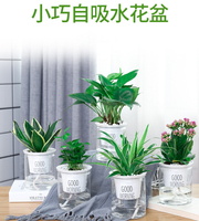 透明塑膠花盆的價格推薦 21年11月 比價比個夠biggo