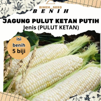 BENIH JAGUNG PULUT KETAN PUTIH ISI 5