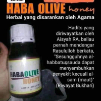 HABAOLIVE MADU 350gr(OBATI ASAM LAMBUNG)