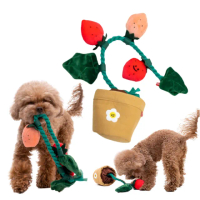 【小寶貝】草莓盆栽寵物玩具套裝(響紙 耐咬 發聲玩偶 響聲玩具 寵物玩具 狗狗玩具 狗狗啃咬玩具)