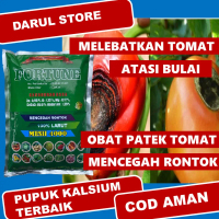 REKOMENDED Obat Daun Kuning Keriting Rontok Daun dan Buah Tomat - Pupuk Kalsium FORTUNE Ampuh Mengat