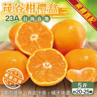 【果農直配】台灣茂谷柑23A禮盒5斤X4箱(每箱約20-25顆)