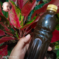PROMO Pupuk Organik Cair ( POC Guano Walet ) 350.gram