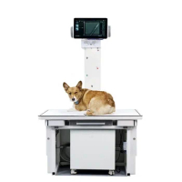 YSX-VET200 YSENMED High Frequency Veterinary X Ray Machine 20kw Xray Unit For Large Animal
