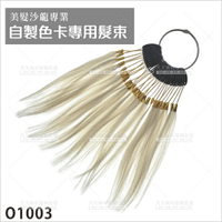 WG O1003 9度色髮束30束[83902]染劑色卡製作 沙龍學院 美髮 染髮 髮束 髮廊染漂 染膏瞟粉專用 試色髮條