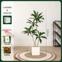 模擬綠植物盆栽天鵝絨巴西木高階輕奢北歐風室內客廳落地裝飾擺件