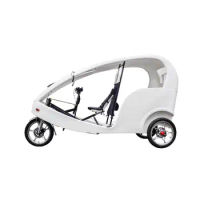 Export USA Trike Motorcycle Rental Business Battery Electric Pedicab Bike Taxis With Passenger Seat