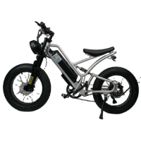 750 w to 1000 w 48 v 10.4 ah electric Bike Mountain Bike full suspension dual motor bicycle 20 inches fat tire whee