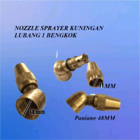 NOZEL / NOZZLE / SPUYER SPRAYER ELEKTRIK KUNINGAN 1 LUBANG BENGKOK