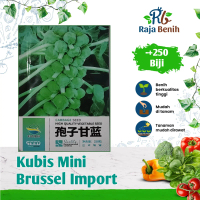 Benih Kubis Mini Brussel hijau import KEMASAN ORIGINAL (250 biji)