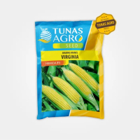 BENIH JAGUNG MANIS VIRGINIA F1 TUNAS AGRO ISI 250 Gram