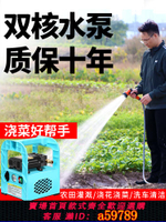 【台灣公司 可打統編】家用小型12v鋰電池電動充電抽水泵戶外澆菜淋菜神器自動吸水抽水