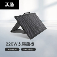 EcoFlow 正浩 220W 雙面便攜太陽能板【App 4%回饋】