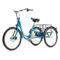 2023 3 Wheel E-bike Ebike Tricycle Three-Wheel Battery E Bike Three Wheeler Electric Transport Bicycle for Adult