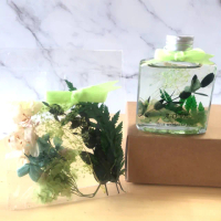 【A-ONE 匯旺】浮游花DIY材料包 麥桿菊花 乾燥花 永生花 安娜繡球花 浮游花瓶 居家裝飾 花束 不凋花 H40