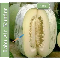 Labu Kundur TungKua Segar - Labu Air Beligo Fresh | Size 6-7 Kg [ Harga Per PCS ]
