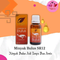 Massage Oil Bulus SR12 / Minyak Bulus SR12