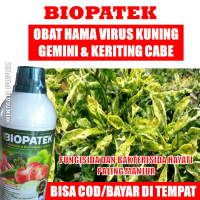 Biopatek Obat Pupuk Anti Hama Virus Kuning/Keriting Buah Cabe, Pupuk Organik Hama Virus Kuning/Gemin