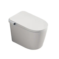 Sanitary Ware Intelligent Japanese Water Closet Automatic Sensor Toilet