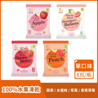 【Wel-B】100% 水果凍乾 單口味6包組(100% 純水果 無添加 冷凍乾燥 保留營養 原裝進口 檢驗合格)