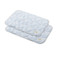 【生活工場】湖光樹影Q-MAX涼感枕頭墊2入組(涼感紗/ 透氣/降溫夏日抗暑)